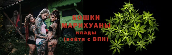 шишки Богородицк