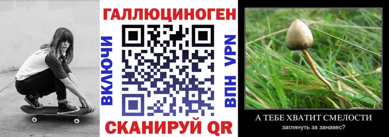 Галлюциногенные грибы MAGIC MUSHROOMS  ОМГ ОМГ вход  Весьегонск 